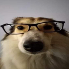 vSmoliv