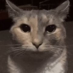 xʜᴜɴᴛᴇʀᴇᴋ¹¹²