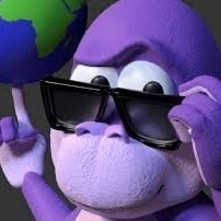 bonzi