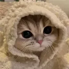 Nikodem