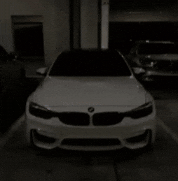 s1zer.sus